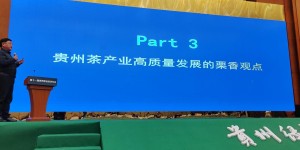 贵州茶产业高质量发展的《栗香方案》之栗香观点