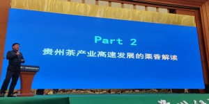 贵州茶产业高速发展的《栗香方案》之栗香解读