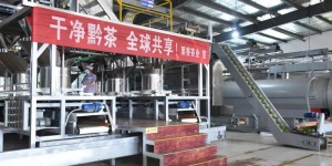 栗香茶业聚焦海外市场，将“贵州茶”打造为“世界茶”