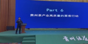 贵州茶产业高质量发展的《栗香方案》之栗香行动