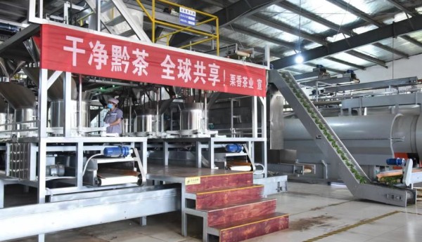 栗香茶业聚焦海外市场，将“贵州茶”打造为“世界茶”