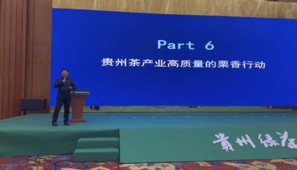 贵州茶产业高质量发展的《栗香方案》之栗香行动
