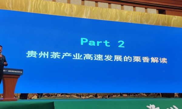 贵州茶产业高速发展的《栗香方案》之栗香解读