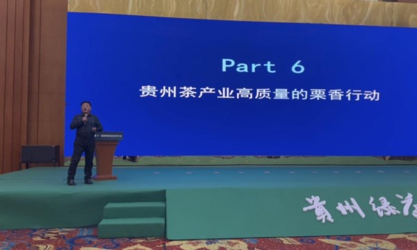 贵州茶产业高质量发展的《栗香方案》之栗香行动